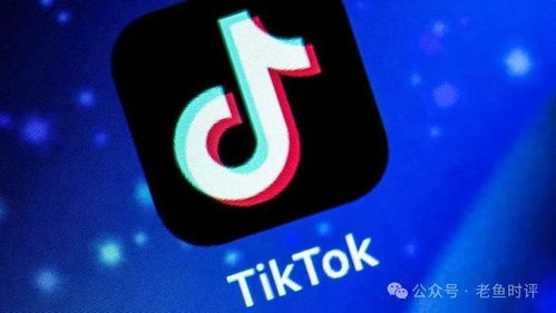 抖音的十字路口 美国强制剥离背后的角力与启示